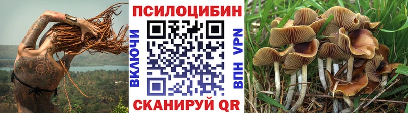 Купить где  Горнозаводск  Галлюциногенные грибы мицелий 